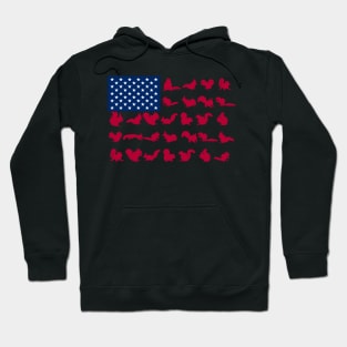 Squirre American Flag Costume Gift Hoodie